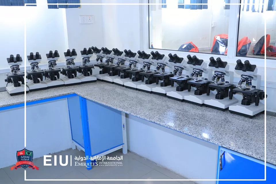 The first phase of modernizing the laboratories of the University’s College of Medicine and Health Sciences begins