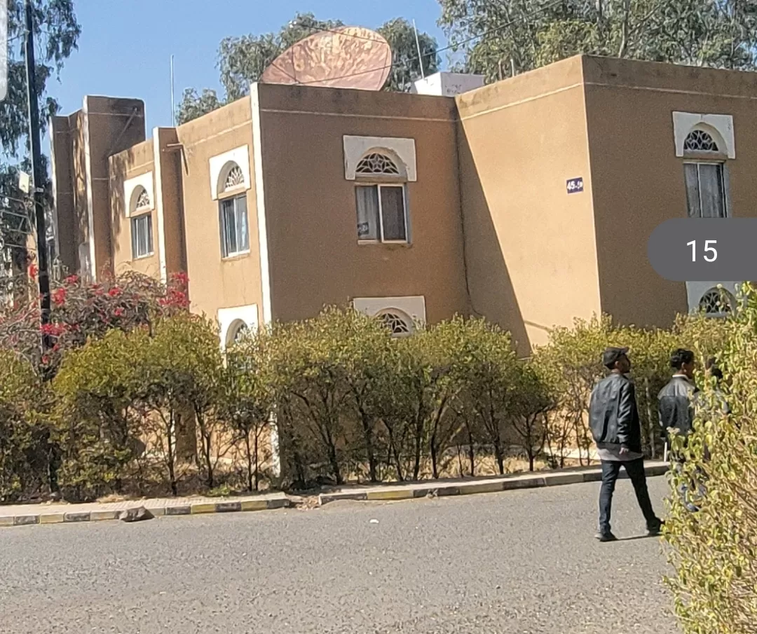 A scientific visit for architecture students to the tourist city