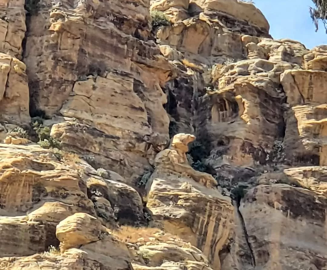 A scientific visit by students of the Department of Oil and Gas Engineering to Shibam Kawkaban and a number of areas for the purpose of learning about the geology of Yemen